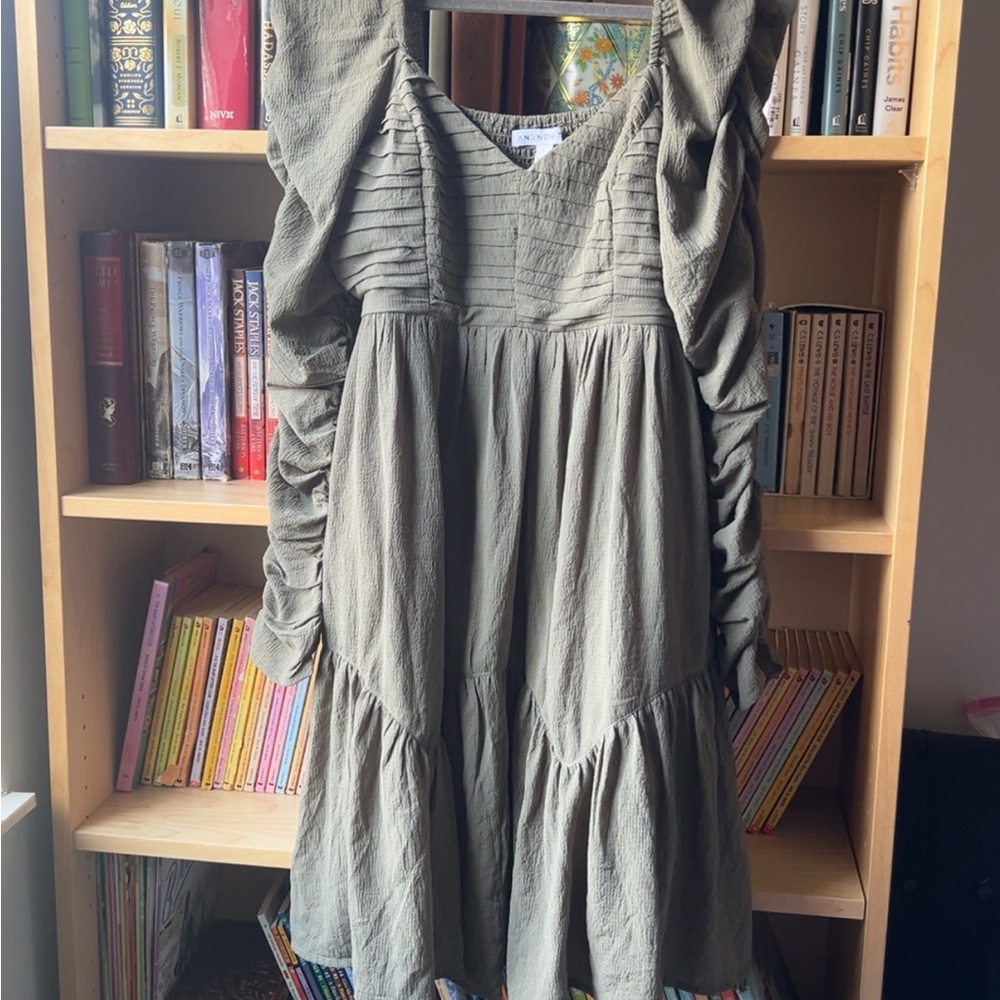 Elegant Long Sleeve Olive Dress
